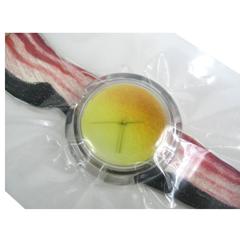 1991 Bonjuhr Artist Series Swatch Watch Alfred Hofkunst Bacon New Old Stock 7