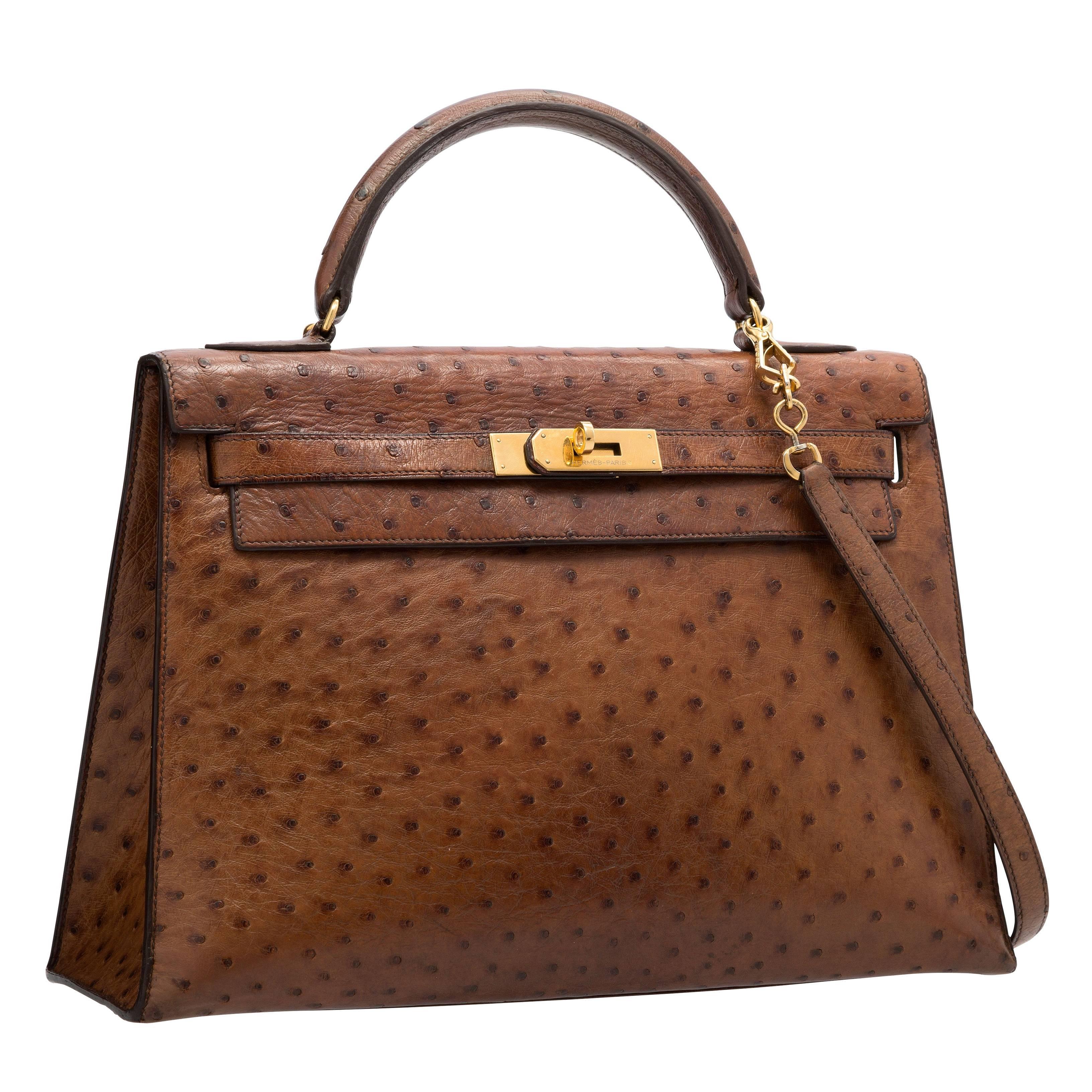 Hermes 32cm Noisette Ostrich Sellier Kelly Bag with Gold Hardware For Sale