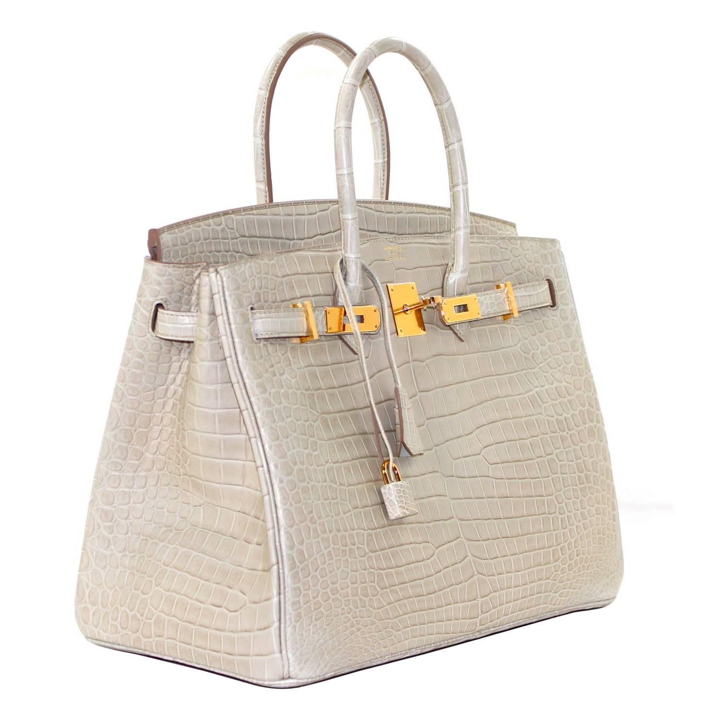Herms BETON Matte Porosus Croc 35 cm Birkin Bag- Grey color with ...  