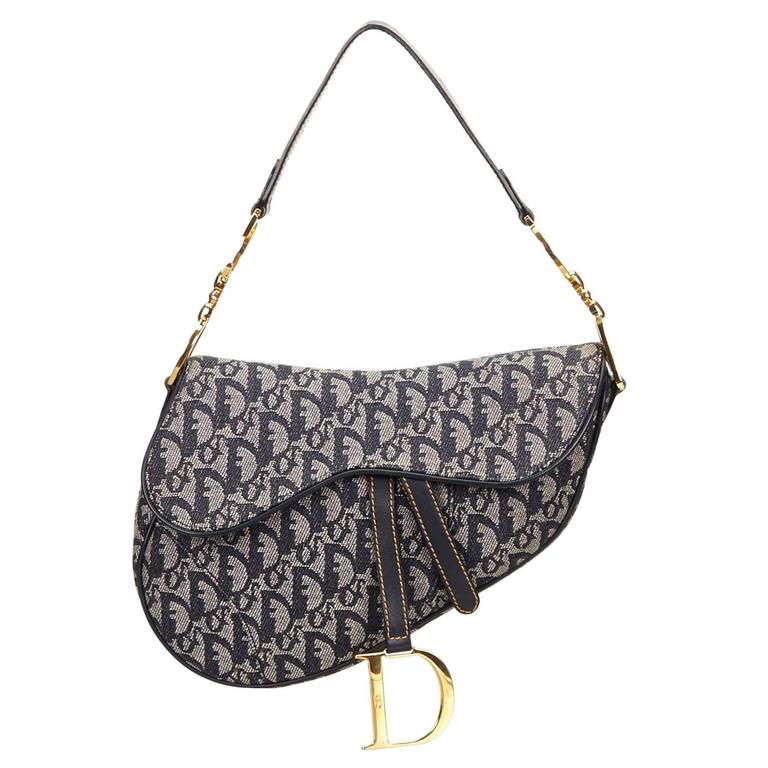 saddle shoulder bag dior