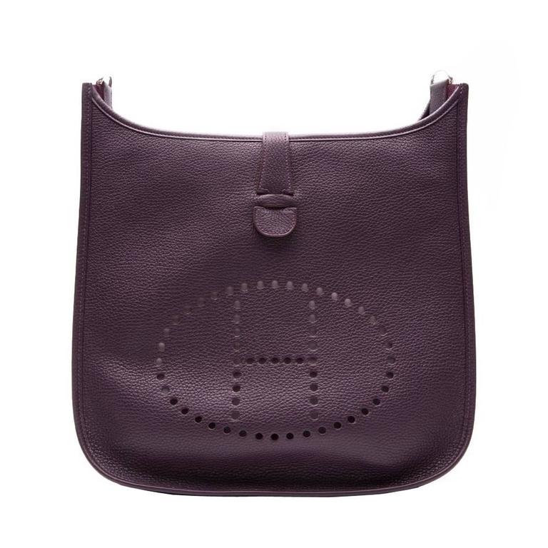 hermes evelyne raisin