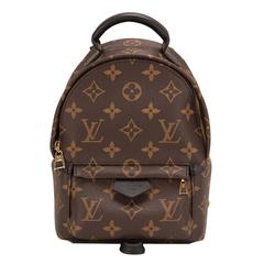 Louis Vuitton Palm Springs Backpack Mini