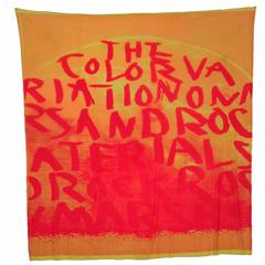 Sprouse Sun & Graffiti Scarf 6