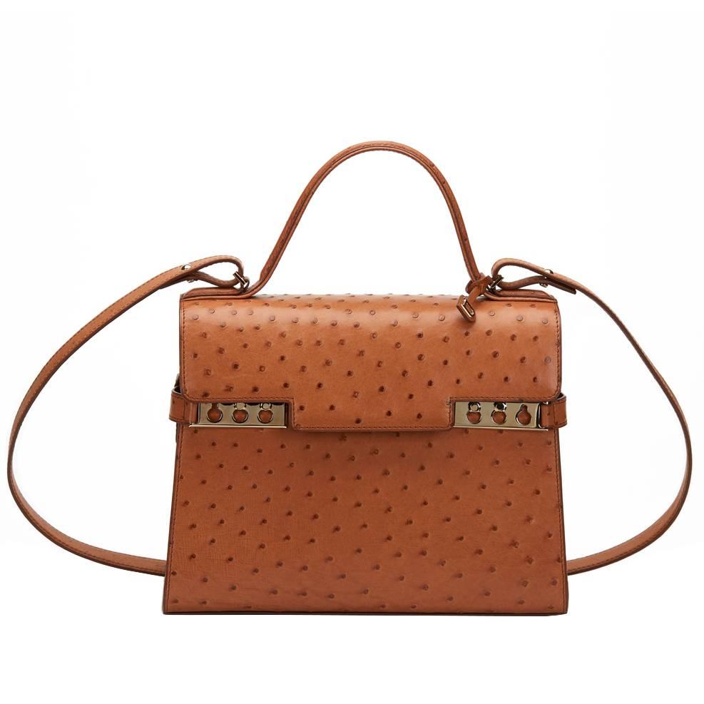 2000s Delvaux Tan Ostritch Leather Tempete MM