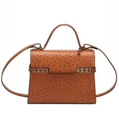 2000s Delvaux Tan Ostritch Leather Tempete MM 