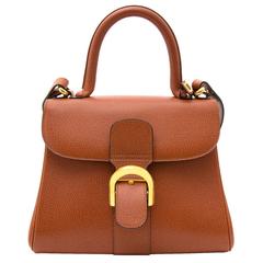 Delvaux Brillant PM Cuivre + strap