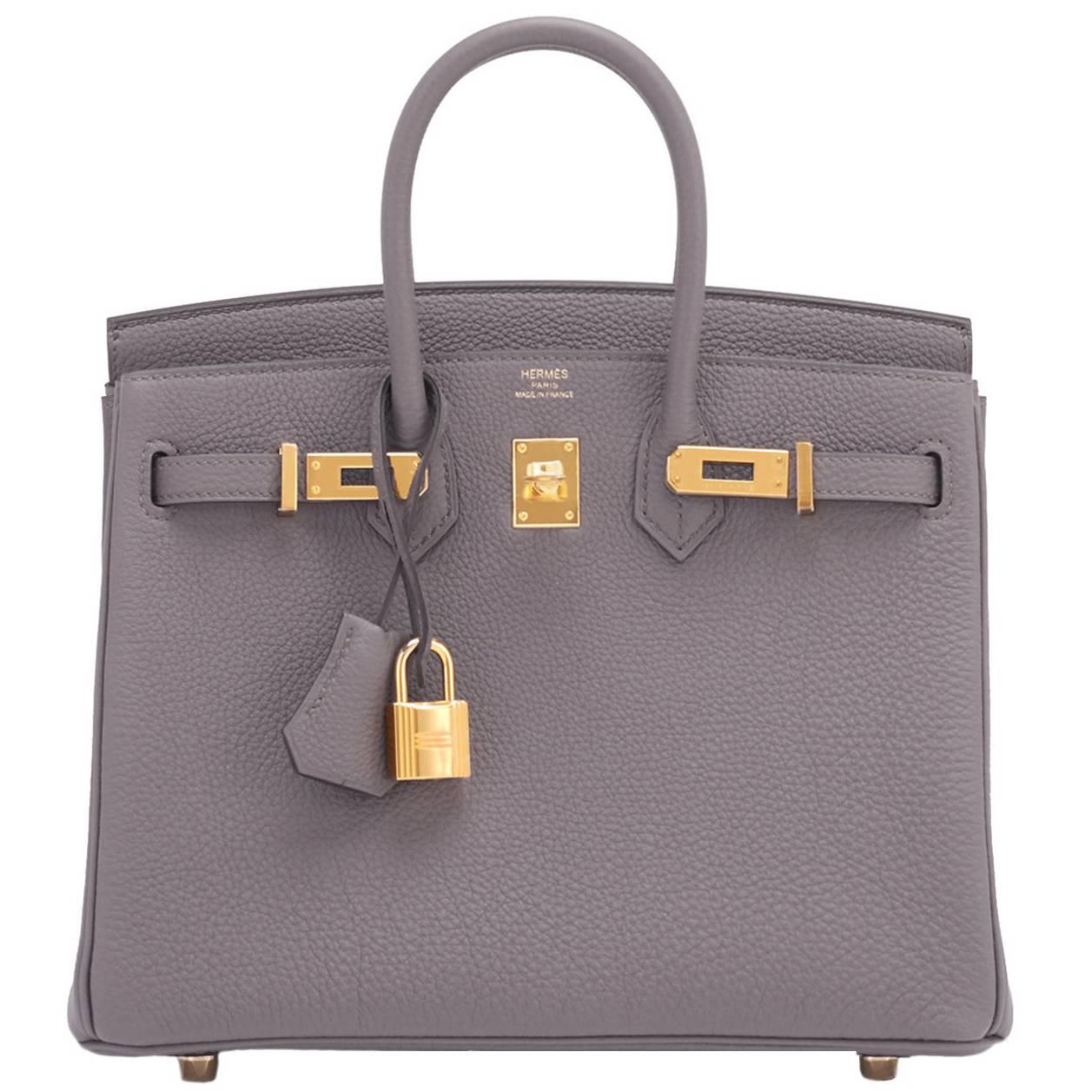 Hermes Etain Baby Birkin 25cm Togo Tin Grey Gold Hardware Darling