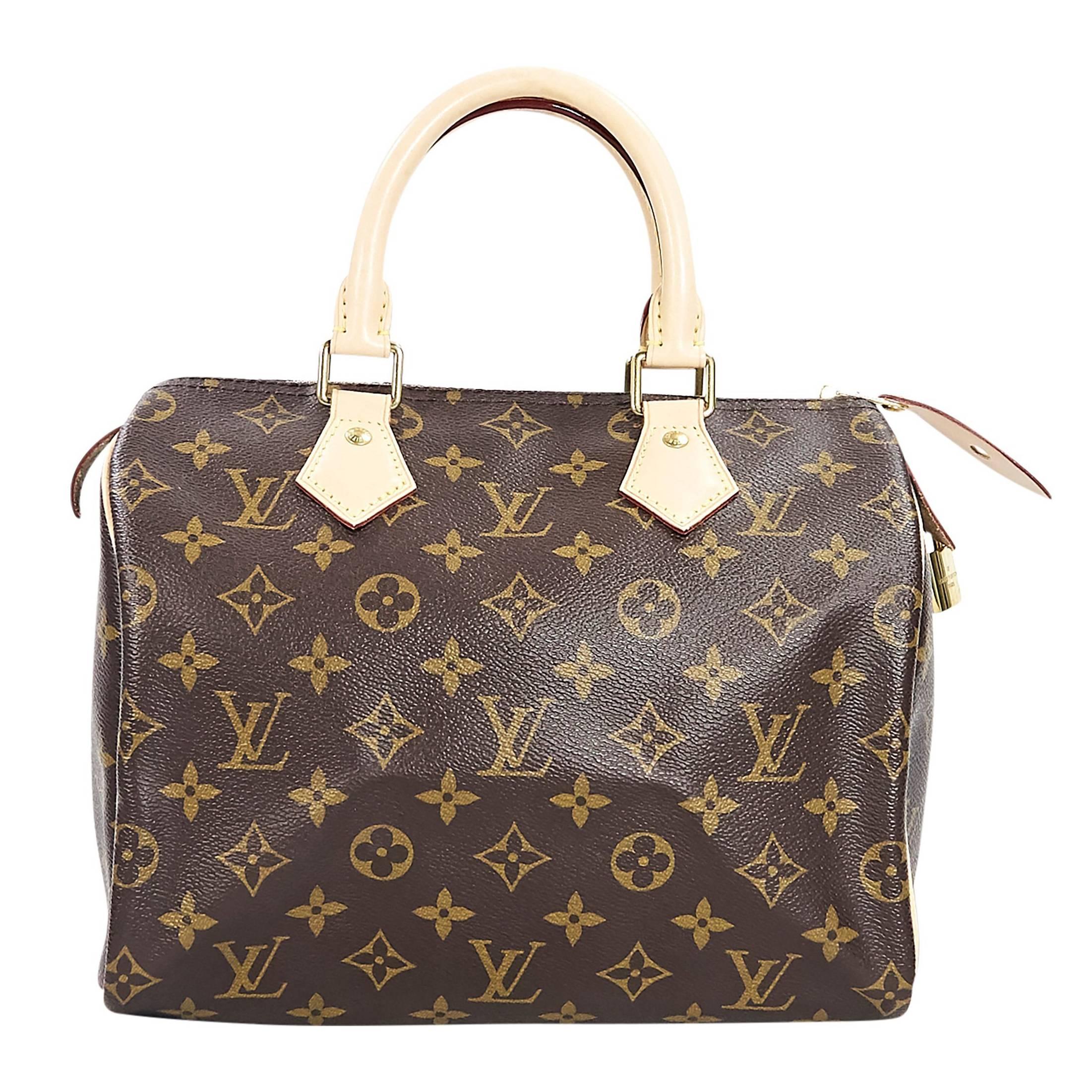 Brown Louis Vuitton Monogram Speedy 25 Bag
