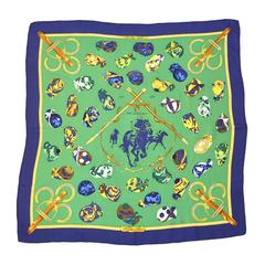 Used Special Edition Hermes Scarf  in Original Box