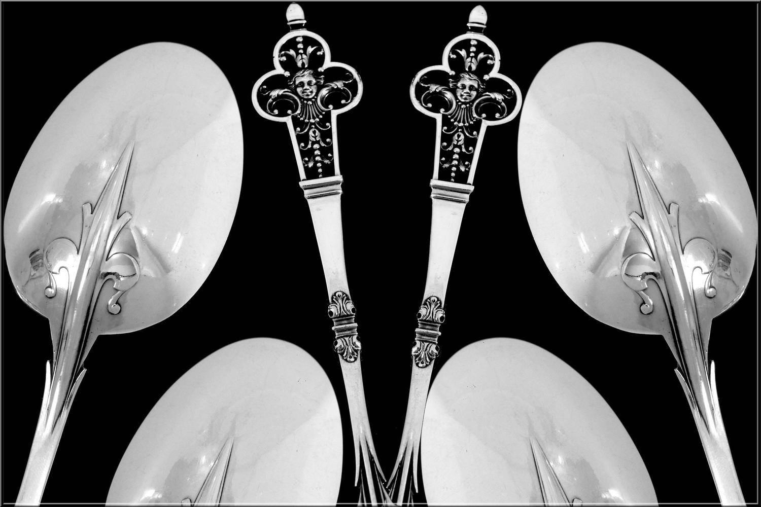 Cardeilhac Masterpiece French Sterling Silver Dinner Flatware 18 Pc Renaissance 1