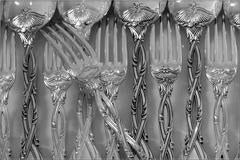 Odiot Tetard French Sterling Silver Dessert Entremet Set 12 Pc Trianon Pattern