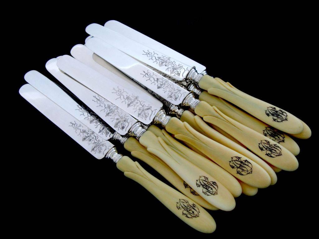 Antique French Sterling Silver Knife Set 12 pc, Blades engraved with vines, box For Sale 3