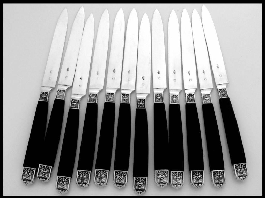 Cardeilhac French Sterling Silver and Ebony Knife Set 12 Pieces Box Renaissance 2