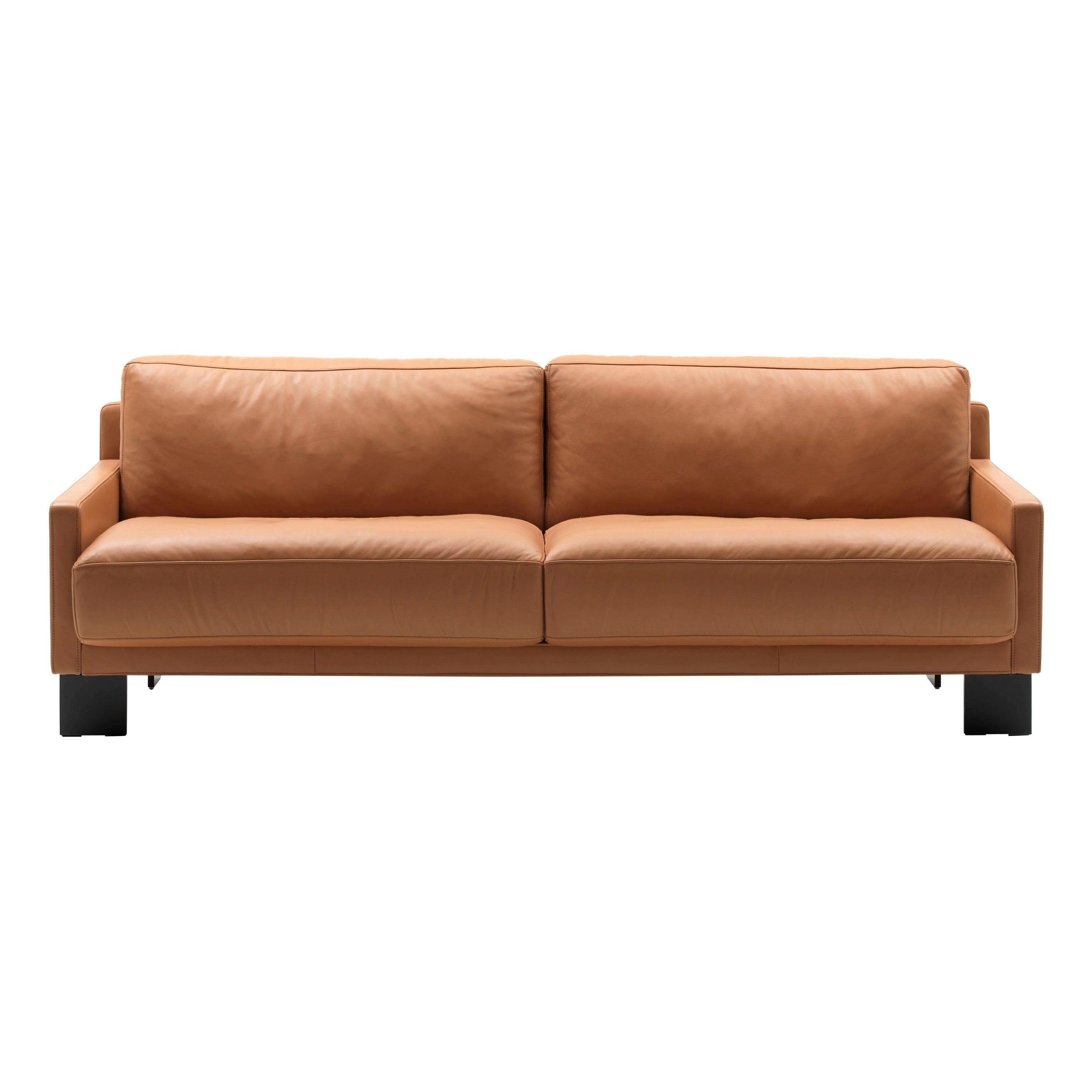 For Sale:  (Orange) De Sede Leather Sofa by Stephan Hürlemann