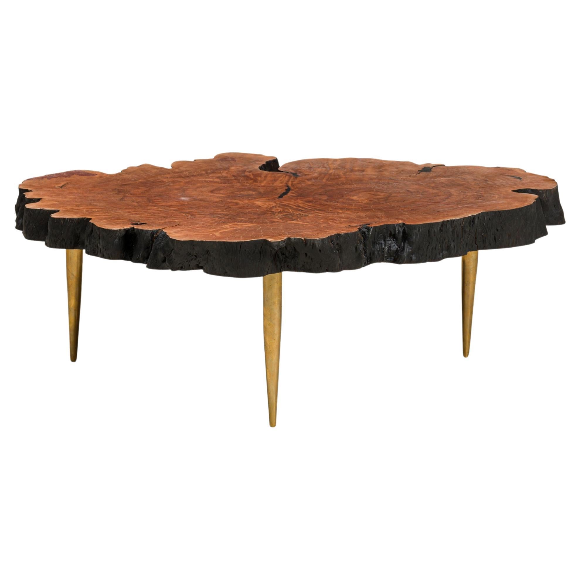 Aventura Coffee Table with Petrified Wood Top and Brass Legs For Sale