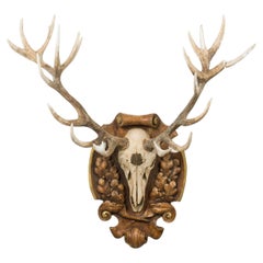 Continental Rustic Wall Plaque Featuring an Elk Skull with a Painted Insignia