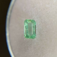 Fine Vivid Green Natural Emerald 0.35ct Rare Loose Emerald Octagon Cut Gemstone