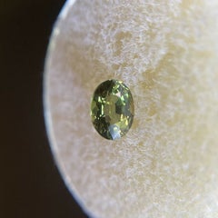 Fine Australian Vivid Green Yellow Untreated Sapphire 0.78ct Oval Cut Rare Gem