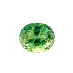 Saphir vert vif naturel taille ovale non serti de 1,29 carat, pierre précieuse rare de 6,8 x 5,6 mm VVS