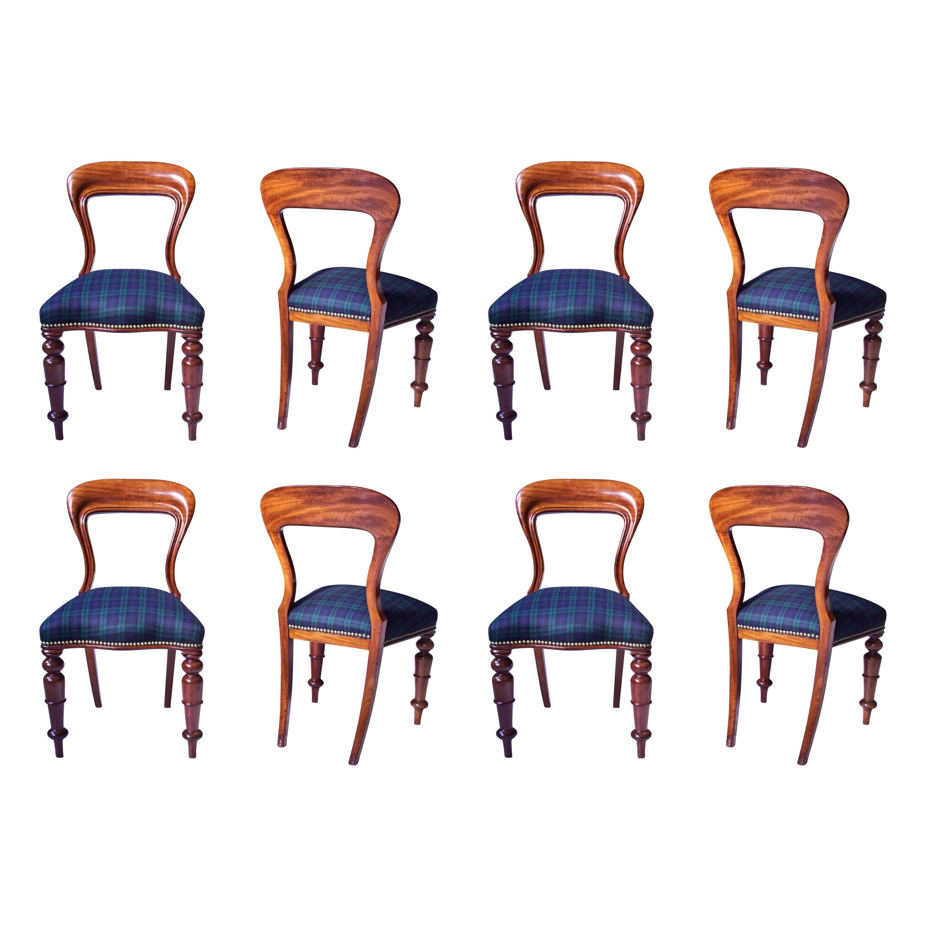 William IV Set of 8 'Balloon' Chairs in Cuban Mahogany and Blue Plaid Wool 1830s