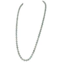 Strand of Delicately Colored South Sea Pearls 3