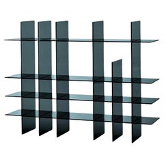 AMI-VERRE Dark Grey Glass Bookshelf by Jean Nouvel for Glas Italia