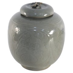 Chinesische Sage und Tonal Botanical Motiv Porzellan Jar