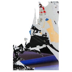 Violet Archival Pigment Print, Modern Style, 20th Century Artist Proof