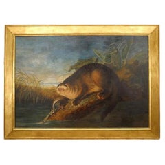 Hand-Painted Otter in a Trap Wildlife Art, Late 20th Century