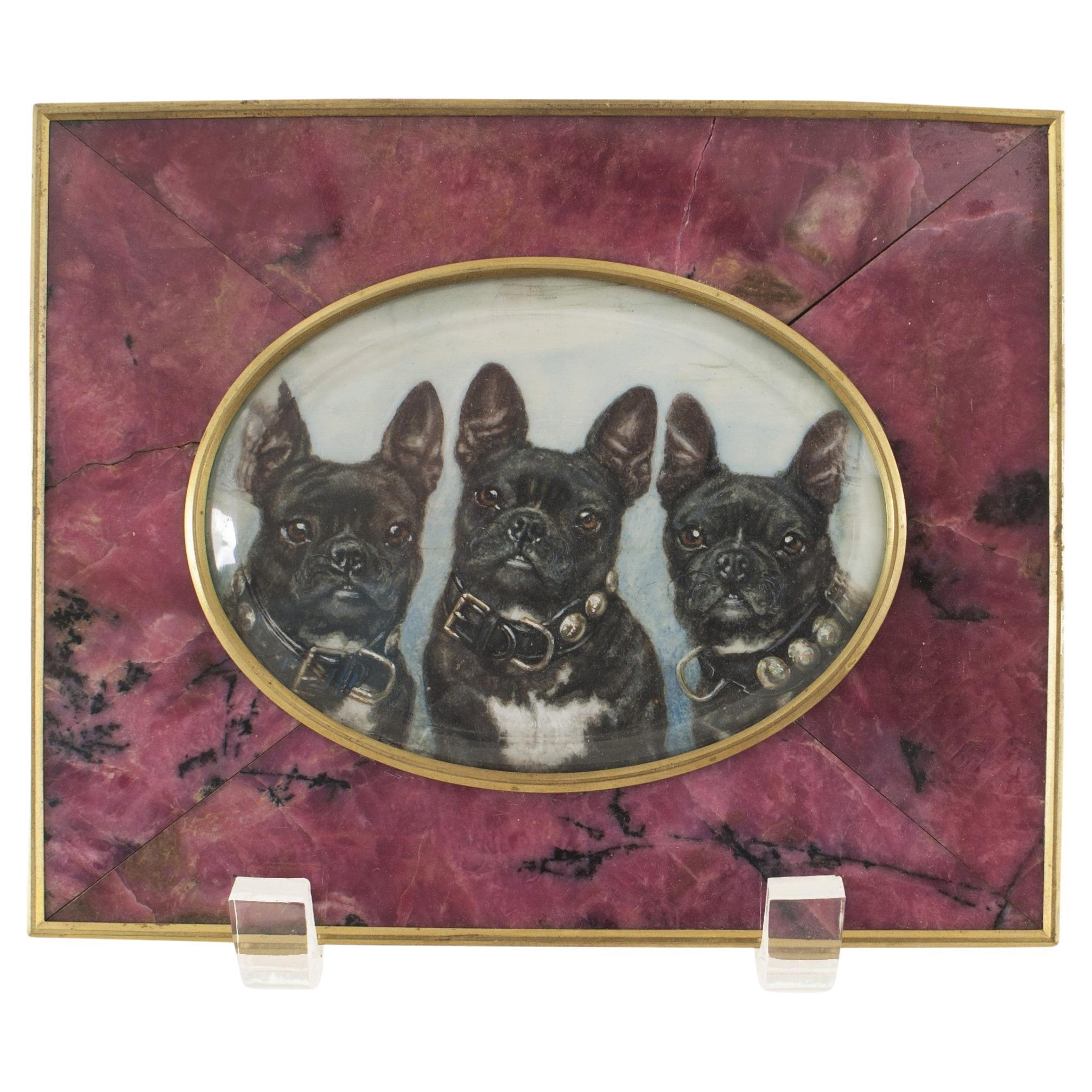 Aquarellbild einer Russischen Bulldogge, 19. Jahrhundert, handgefertigter Rahmen