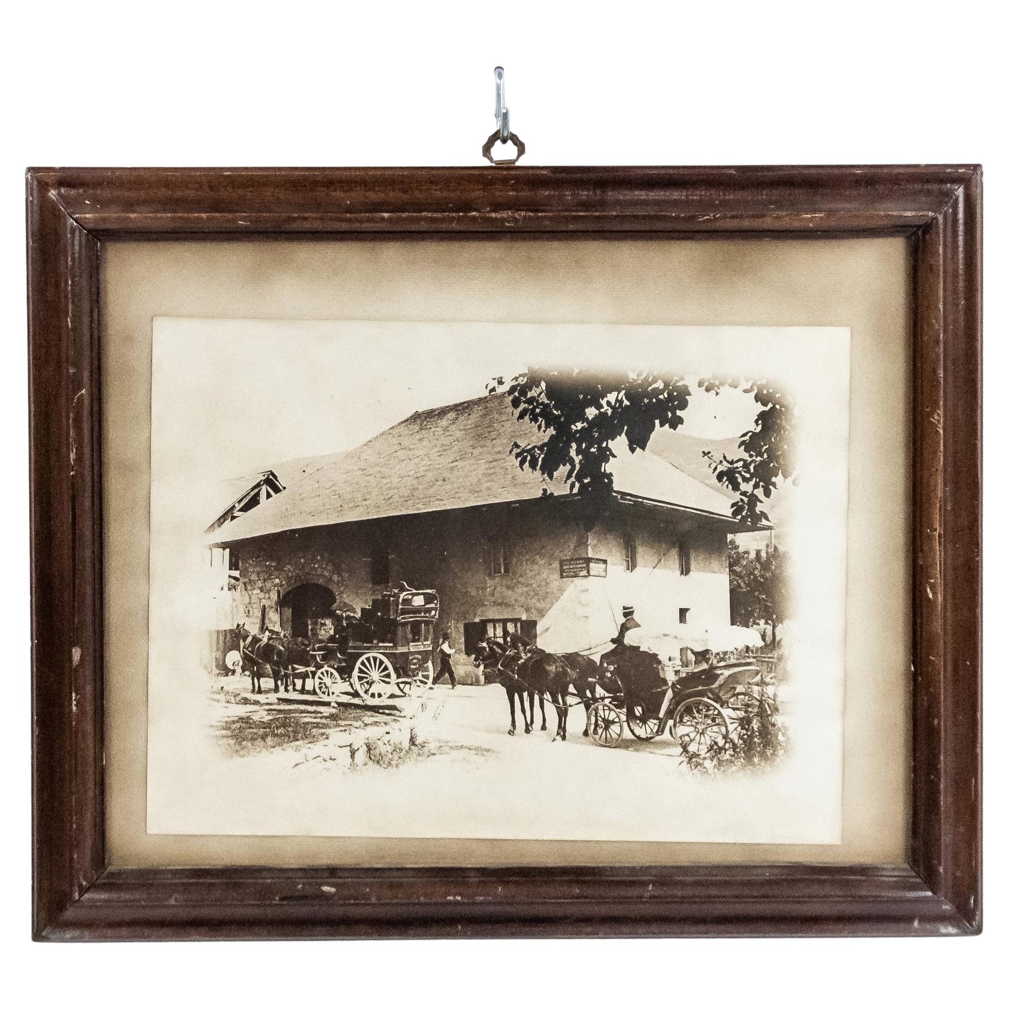 Fotografía inglesa del siglo XIX de caballos y carruajes en el campo