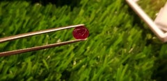 Mozambique 0.80Cts Unheated Ruby Cut Stone 100% Natural Certified