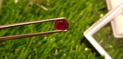 Mozambique Ruby 1.00Cts Cut Stone Unheated Ruby 100% Natural Certified Ruby