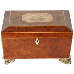 1830 English Regency Burr Yew Wood Inlaid Box