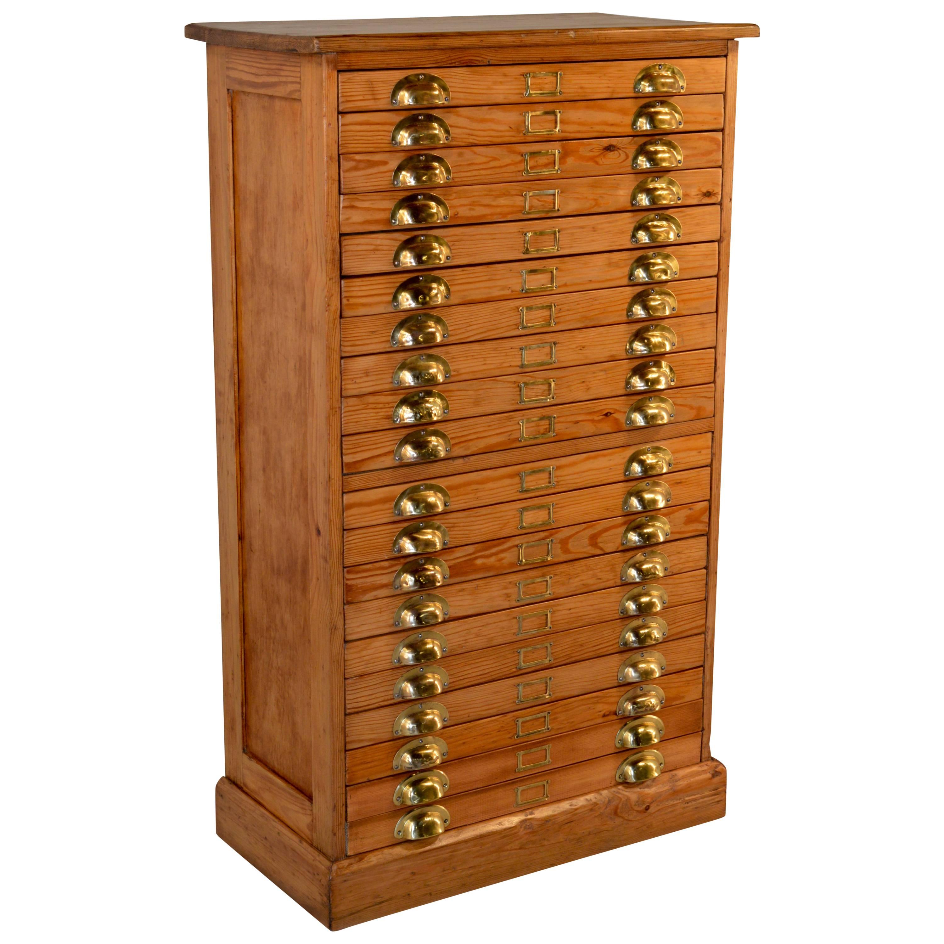 19th Century English Pine Specimen Cabinet