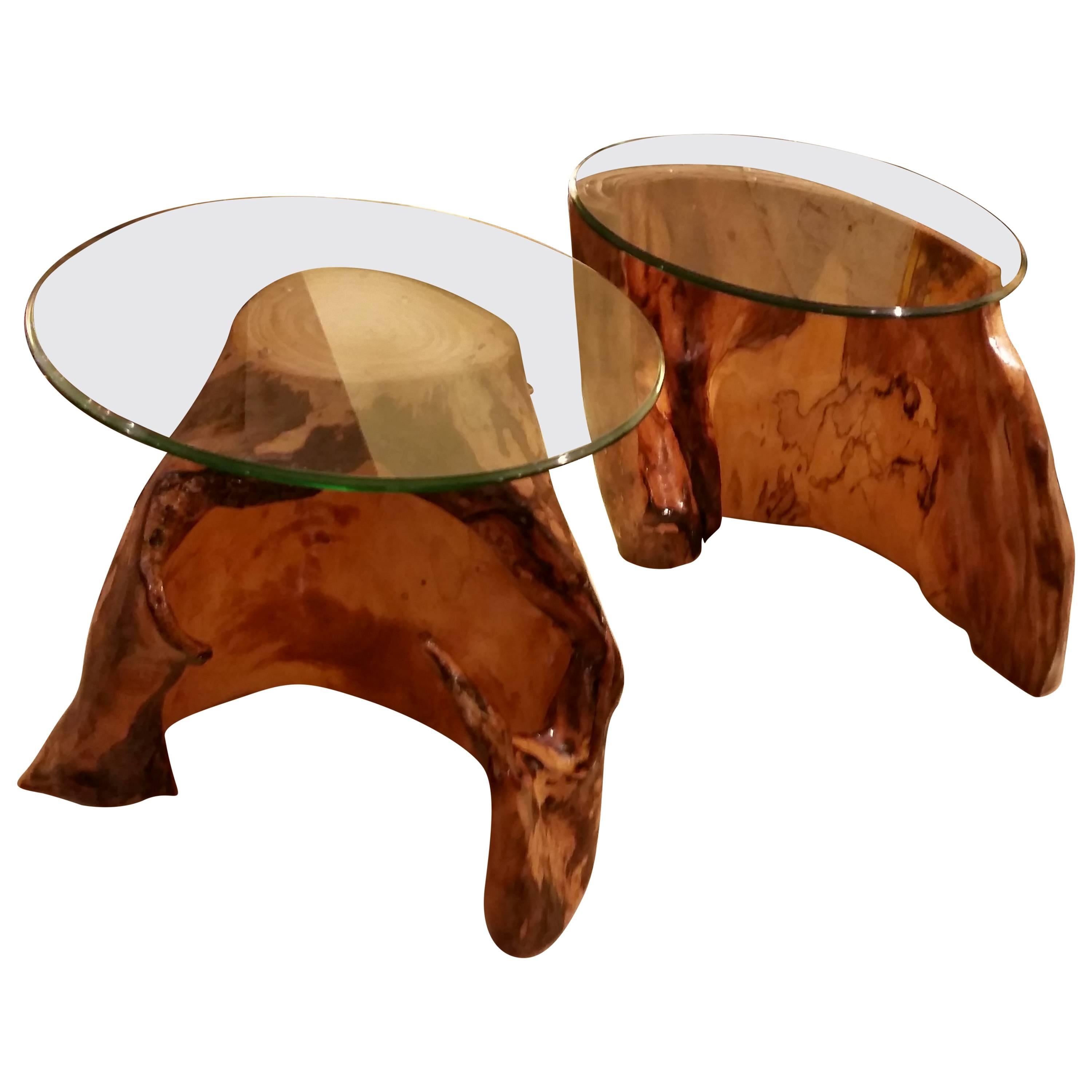 Pair of Asymmetric Burl Wood Drift Wood Side Tables