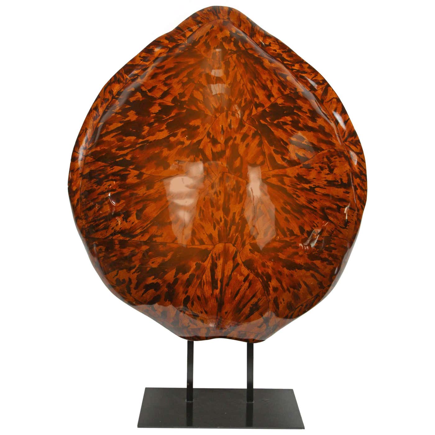 Turtle Shell Stands Large Faux Turtle Shell Mounted on Stand at 1stDibs | turtle shell on ...