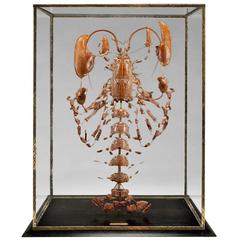 Large French Deconstructed Clawed Lobster Sculpture in a Glass and Brass Case 