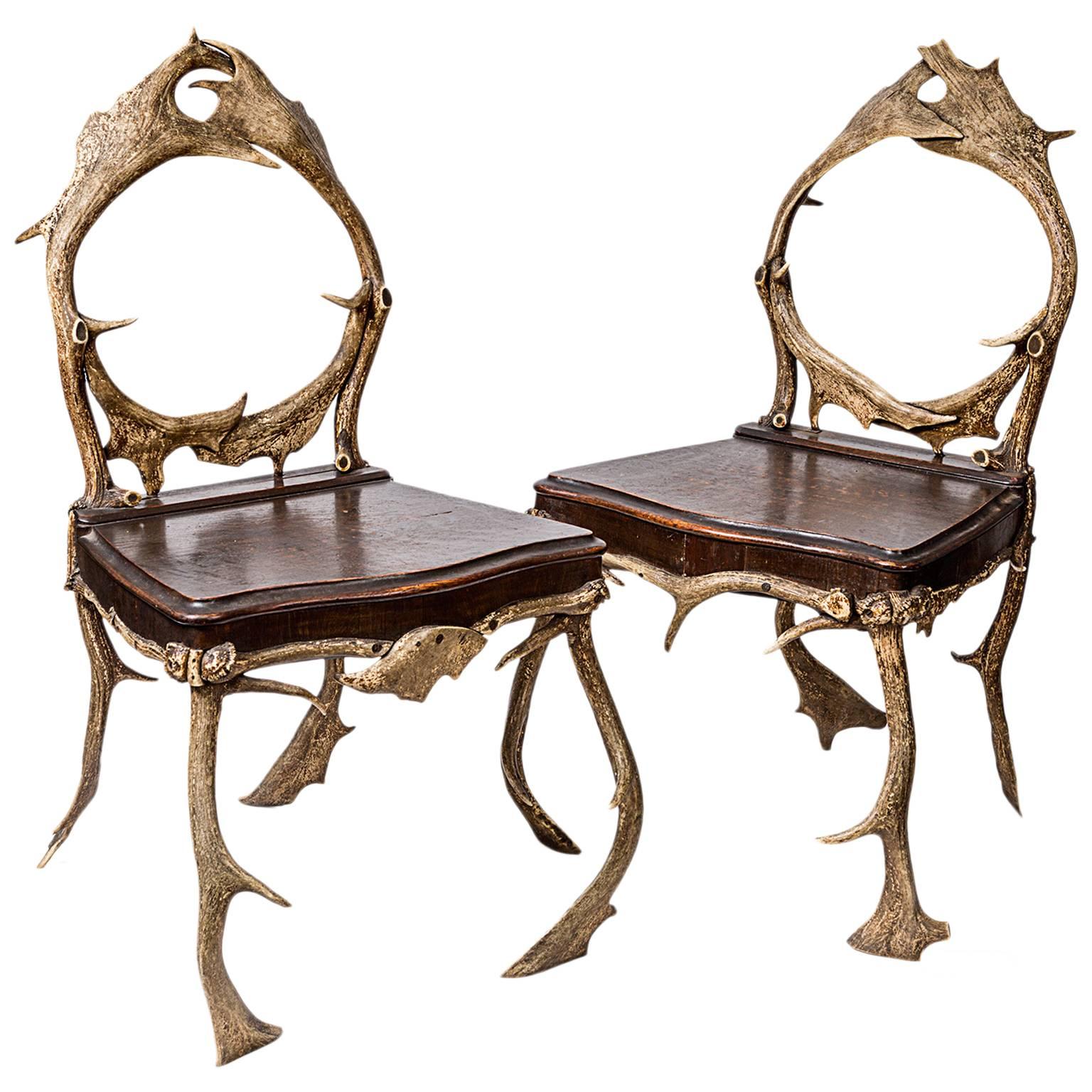 Pair of French 19th Century Antler and Oak Wood Chairs