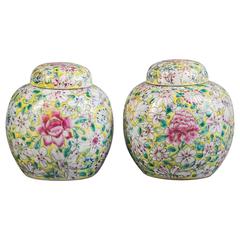 Pair of Chinese Covered Vases