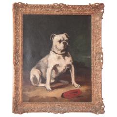 Fabulous 19th Century Bull Dog Oil Painting