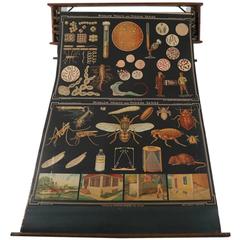 Denoyer Geppert Vintage Science Charts and Maps, Steampunk Industrial 5