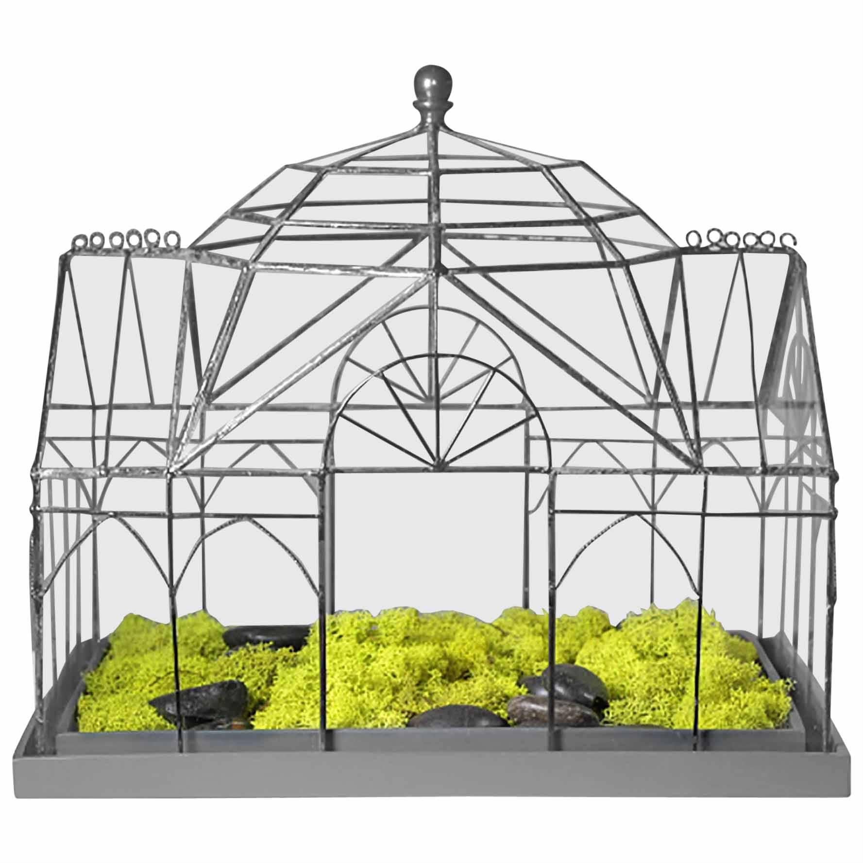 Glass "Wardian Case" Terrarium