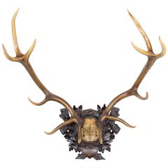 1884 Red Stag with Wappen of Kaiser Wilhelm I of Germany