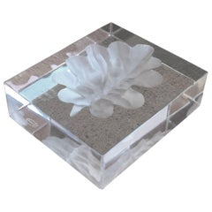 Sevres Crystal Etched Paperweight, France, 1970s