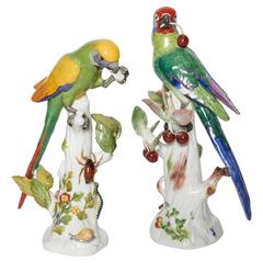 Paire de figures de perroquets en porcelaine de Meissen avec cerises:: insectes et fleurs