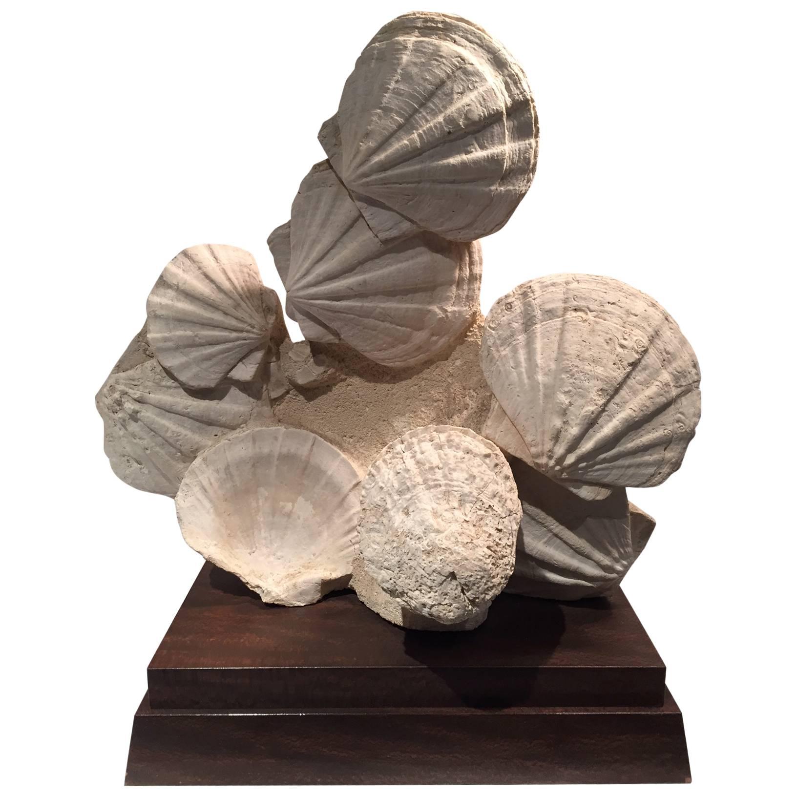 Large Mounted Prehistoric Pecten Fossil Specimen from the Carboniferous Period
