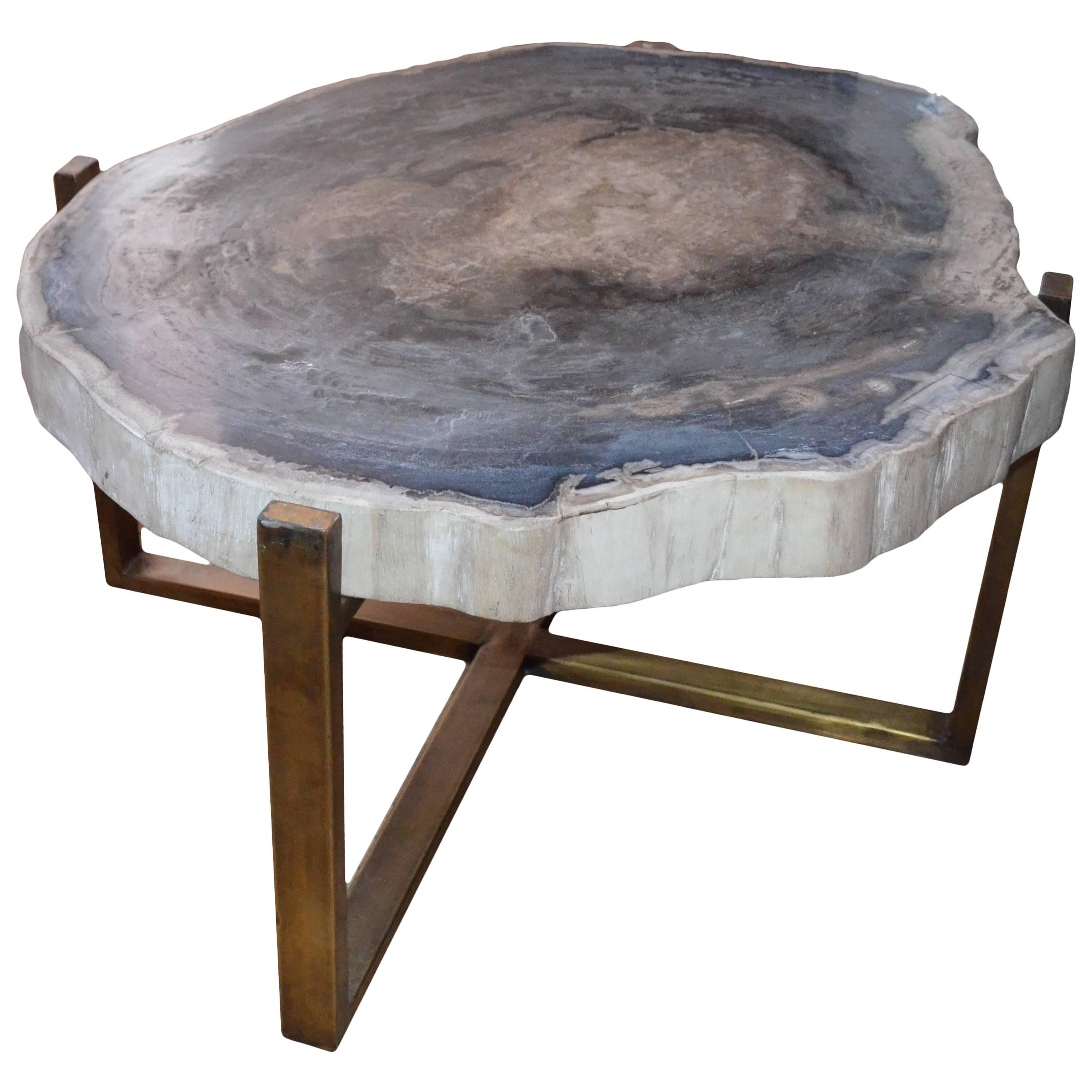 Grey and Beige Petrified Wood Slab Table