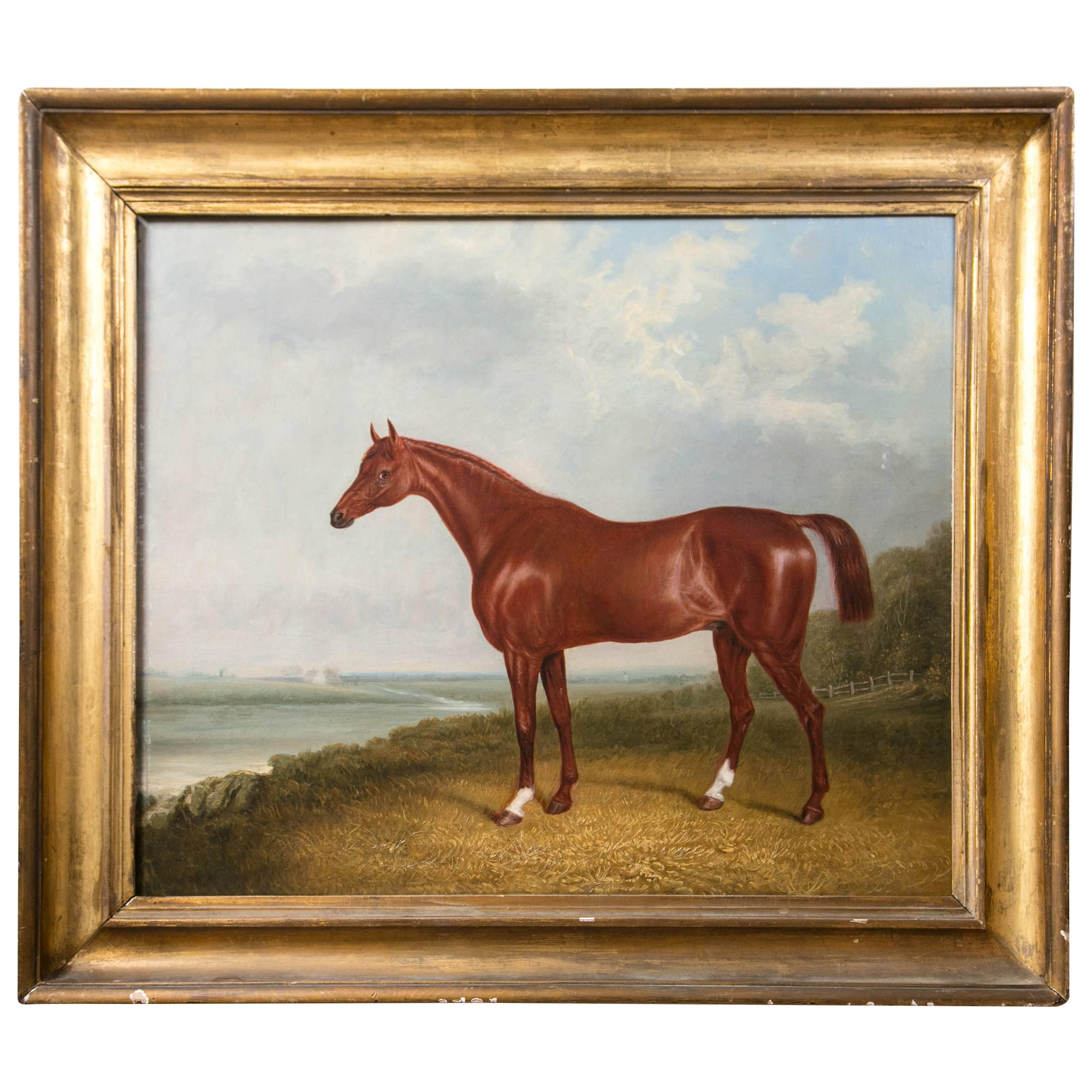 Oil on Canvas Portrait of a Horse