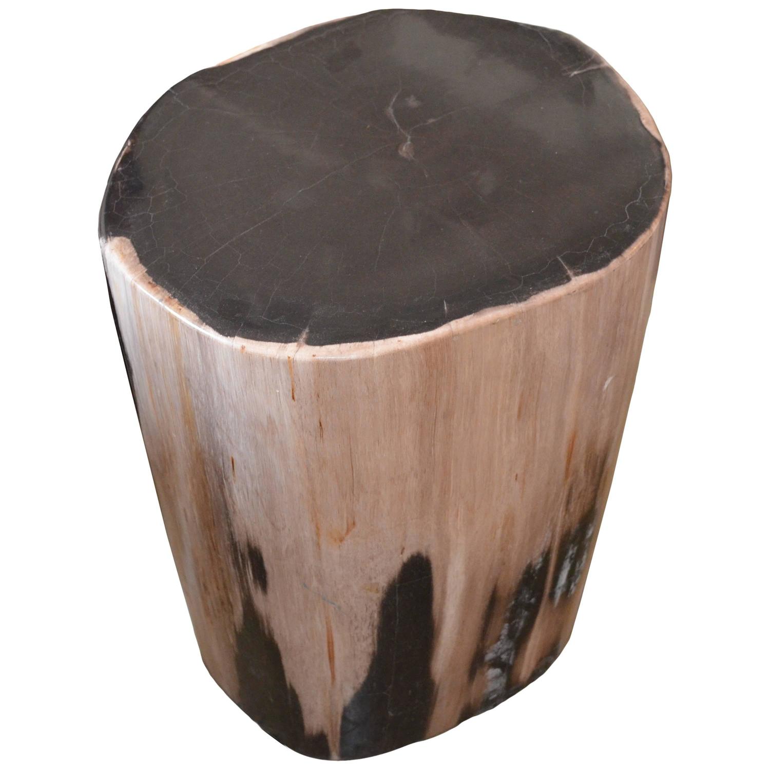 Petrified Wood Side Table at 1stdibs